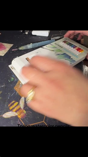 I had to try how watercolor pencils work. The pigment is on lighter side but it’s really handy doing detailed project. #art #watercolor #watercolorpencils #painting #winsorandnewton