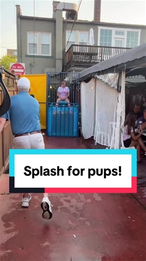 Splash for the PUPS! Fundraiser Success