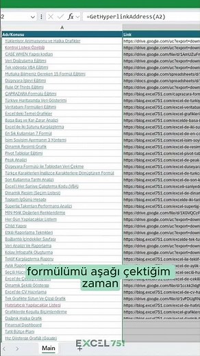 How to retrieve the actual link in Excel, not just the one displayed? (Using a VBA function)