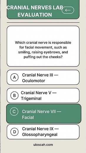 Cranial Nerves Lab Evaluation