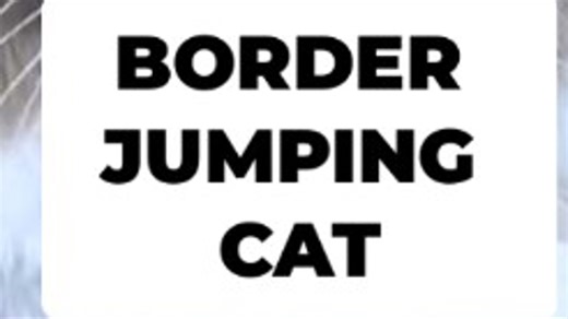Cute border-jumping cat with no "paws-port"