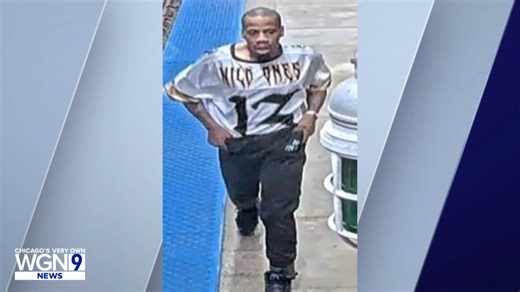 Armed robbery reported on CTA Orange Line train on Chicago’s Southwest Side