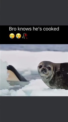 Posting Memes For Fun :D #shorts #memes #funny