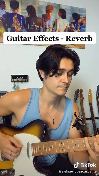 Guitar Effects - Reverb Pedal Guide
