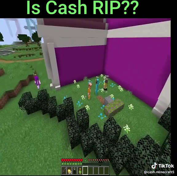 Exploring Cash in Minecraft Server