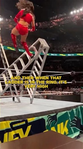 This INSANE MITB Spot Was Chelsea Green's Idea?!