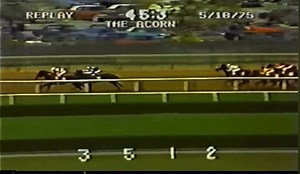 🩸 Bloodline Connections: Ruffian — The Unbreakable Bloodline By WinningStride — Every Stride Tells a Story Some racehorses are born from good blood. Ruffian was born from greatness sharpened to a point. Foaled in 1972, nearly black, powerful, fearless—Ruffian carried a pedigree built from three legendary currents of American racing: Bold Ruler, Native Dancer, and the old-school durability of Fighting Fox’s line. Together, those bloodlines created one of the most dominant fillies the sport has e