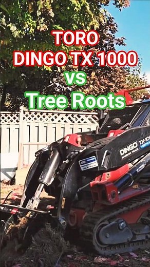 TORO Dingo TX 1000 - Ripping up tree roots