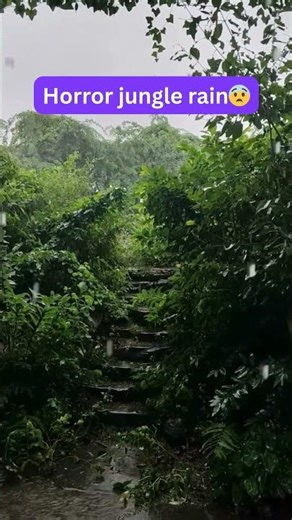 Horror Jungle Rain 🌧️ Dark Storm Ambience | Creepy Nature Sounds