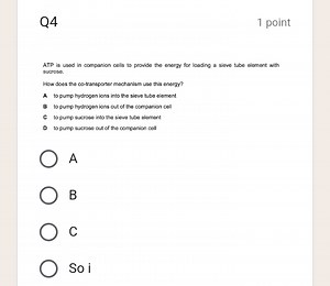 Q41 pointATP is used in companion cells to provide the energ... | Filo