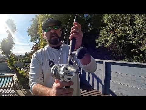 Complete Guide to Sturgeon Fishing in SF Bay Area