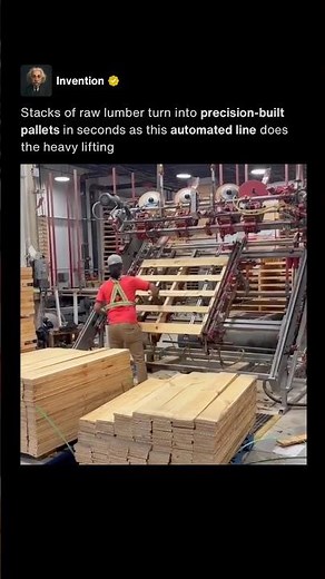 How Wooden Pallets Are Made at Scale ⚙️ #shorts