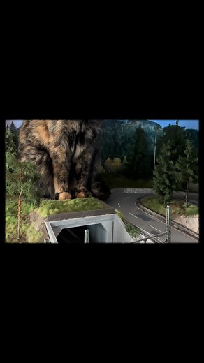 Model Railway Setup for Cat Lovers