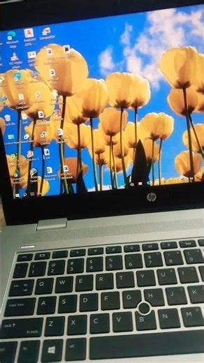 yellow flowers old wallpapers pictures old windows computer wallpapers pictures PC xp #wallpaperback