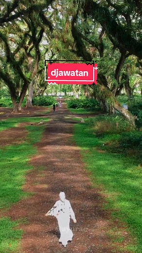 Djawatan Forest: Wisata Hutan Aesthetic di Banyuwangi