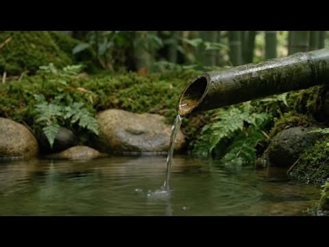 Soothing Relaxation Music – Gentle Piano & Natural Water Sounds for Deep Sleep