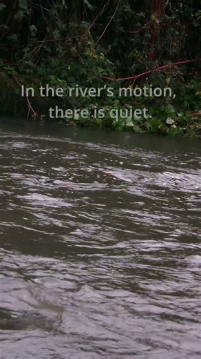 In the River’s Motion, There Is Quiet | Peaceful Flowing Water 🌊 #nature #river
