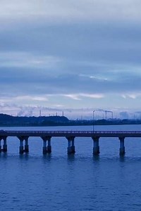 Black and Blue - Movie