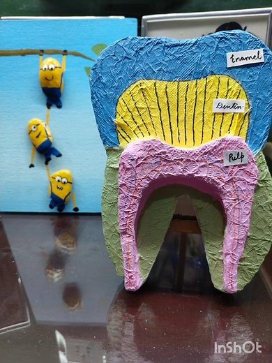 3D Model of a teeth 🦷#teeth #3dmodel #model #project #scientific #biology #science #dentistry #tooth