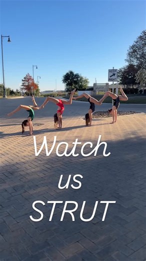 Strutting like the gym is our runway 💁‍♀️✨ Frosted Peacock shimmer, Red Scallop sass, and Mercury shine—because blending in was never the plan. If one’s calling your name… you know where to find it 👀#smallbusinessunday | Brio Leos