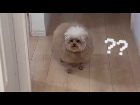 Oh, who do we got here?