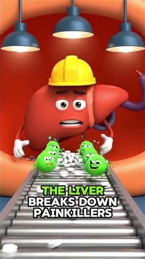 How A Pain Killer Works Inside Your Body