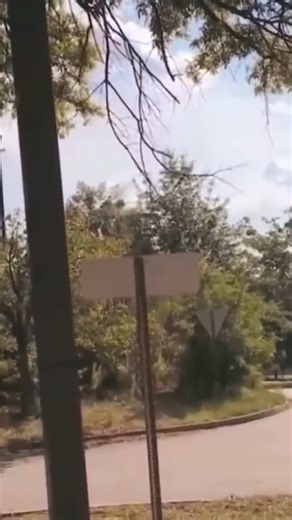 14K views · 256 reactions | Post Office Employees Call Police Over Man Taking Pictures #unlawful #CitizenRights #fblifestyle #publicproperty #lawenforcement | San Joaquin Audits | Facebook