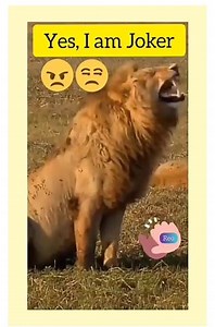 Ye to hoga 😆😆 | Memes Gurooo