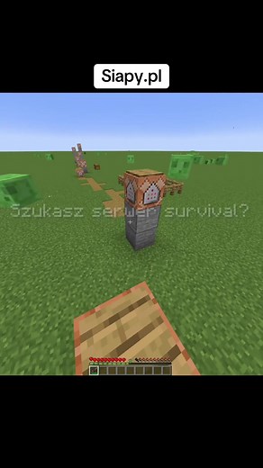Serwer Minecraft Survival SiapyPL — PvP, budowniczowie, dołącz teraz