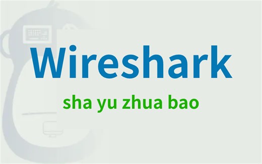 【2025最新版】wireshark保姆级安装 配置 抓包实战教程！黑客必学！