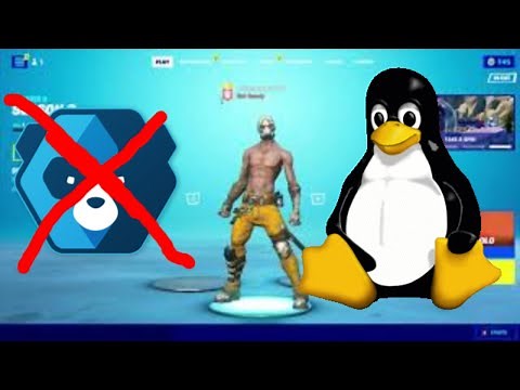 Fortnite on linux in 2022