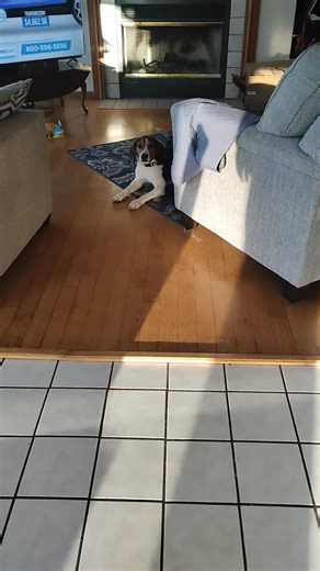 Bath time for Hank! lol he just don't know it yet | Michael Wikoff