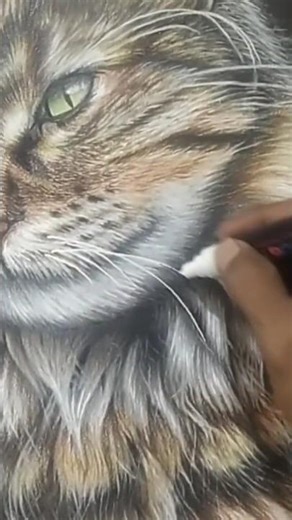 draw a beautiful cat #pastel_drawing #pencil_drawing #cat_drawing #fur_drawing