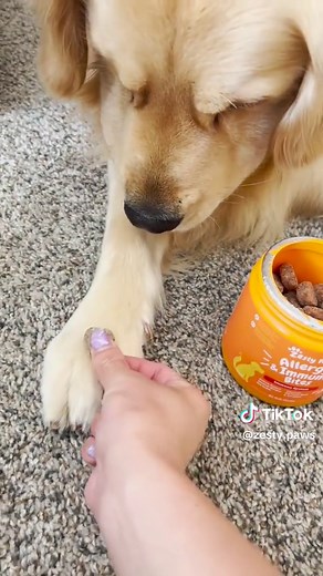 If sensitive skin or seasonal allergies give your dog a hard time, then our Allergy Immune Bites are a pawesome functional supplement to support your pup. Ingredients like Colostrum, which supports the immune system function and enchances immune response, as well as Astragalus Root which may help maintain normal histamine levels, this yummy soft chew is a pawesome support for the change in seasons.