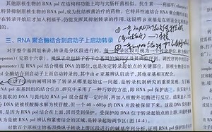 30基因表达调控 考研生物化学教材精讲_哔哩哔哩_bilibili