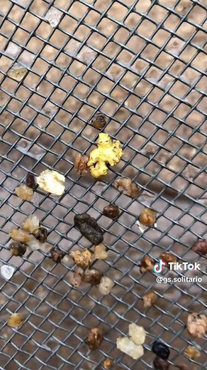 Exploring the Beauty of Blue Gems