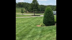 217K views · 6.1K reactions | Welcoming home a winner!    | Hendrick Motorsports | Facebook