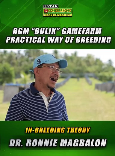 Inbreeding Theory in Practical Breeding Techniques