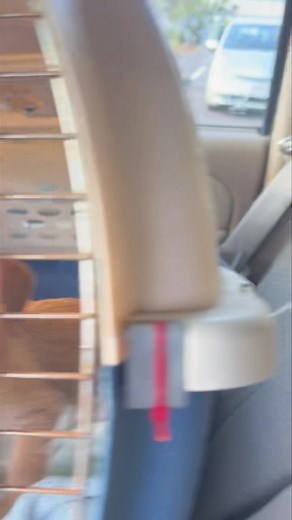 Rescue in progress! ❤️ Rescue angels are in the air and on the road today to help dogs all over northern and central California today. Thank you awesome pilots and other volunteers! We've got multiple rescues with rescue angels heading all over locally and in the central valley to pick up dogs in desperate need. We've also got some kitties we’re working on and will update you soon on those. Incoming 3 year old female bloodhound 2 tiny Poms (both male, not male and femaleas said in the video) Poo