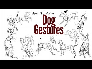 Gesture Drawing Dogs in Krita | Animals | Any medium