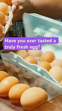 Join Me in Raising BACKYARD Chickens for the Freshest Eggs Every Day!