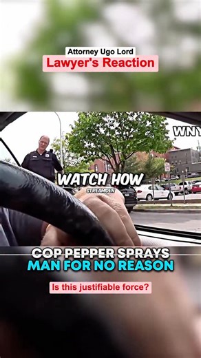 Ugo Lord on Instagram: "Driver Flips Off #Cop, Gets Pepper Sprayed — Was This Justified Force? Attorney #UgoLord Reacts! #lawyer #lawyersofinstagram"