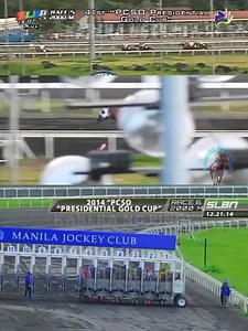 One of most controversial race 2013 PCSO PRESIDENTIAL GOLD CUP , 2014 HAGDANG BATO RECLAIM THE CROWN https://youtu.be/PMpBC5uGK0s?si=b90oNFjpvy2_zXd2 Karera ng Pinoy @top fans #HorseRacingNews #horseracingph #karerangpinoy #horseracing #highlights #classicrace #trowback #trowbackrace #PeoplesChamp | Karera ng Pinoy