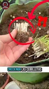 13 Trucos Caseros Increíbles que Pueden Ahorrarte Mucho Dinero!