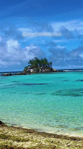 Where turquoise dreams begin ✨ From the quiet charm of Fairyland Beach to the little Ile Souris island on the horizon, watch the sea shift through every shade of blue 💙🌊 #FairylandBeach #SeychellesPulse #Mahé #IslandViews #oceanblues | Seychelles Pulse