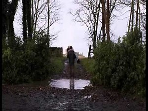 A gentleman with Scarlett Johansson (Under the skin's clip)