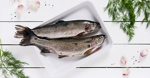 Tout savoir sur les poissons d'eau douce