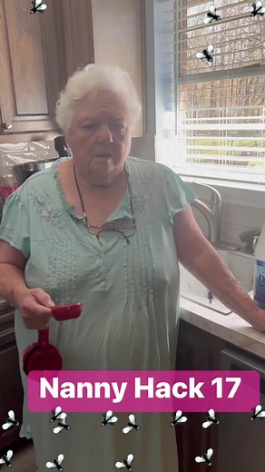 Nanny Hack 17. Getting rid of gnats. #nannyhacks #diy #fyp #hack #gnats #pestcontrol #granny #nanny Velma Turner | Coby Herford