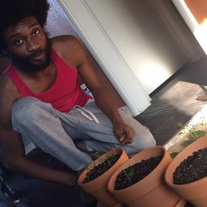 66 reactions · 30 shares | Many people have been inquiring about this amazing electric leaf, bryophyllum. Here’s my mini Love Bush farm. I first connected with Love Bush in St. Croix but these leaves are from Bermuda. These plants grow easily at home and have numerous herbal uses. I hope to spread the love of this amazing botanical. #lovebush #bryophyllum #electric #eleaf #sustainability #researchanddevelopment #randd #scientist #experiment | KT the Arch Degree | Facebook