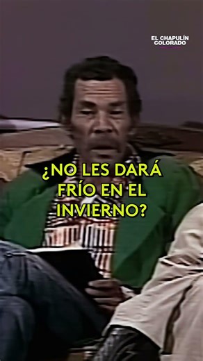 🦜 Parrots don't have feathers on their calves #elchapulíncolorado #shorts